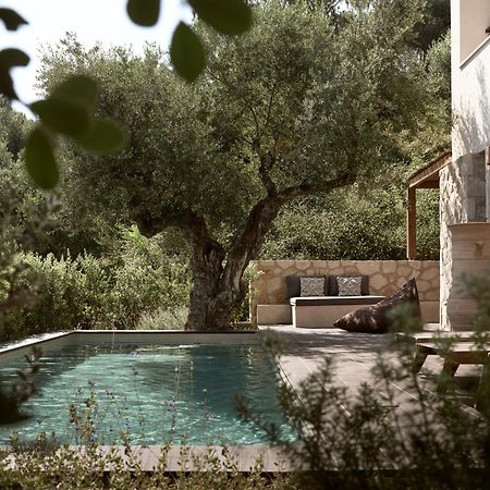 Zayn Luxury Villas, A Serene Escape, By Thinkvilla Tsilivi  Dış mekan fotoğraf
