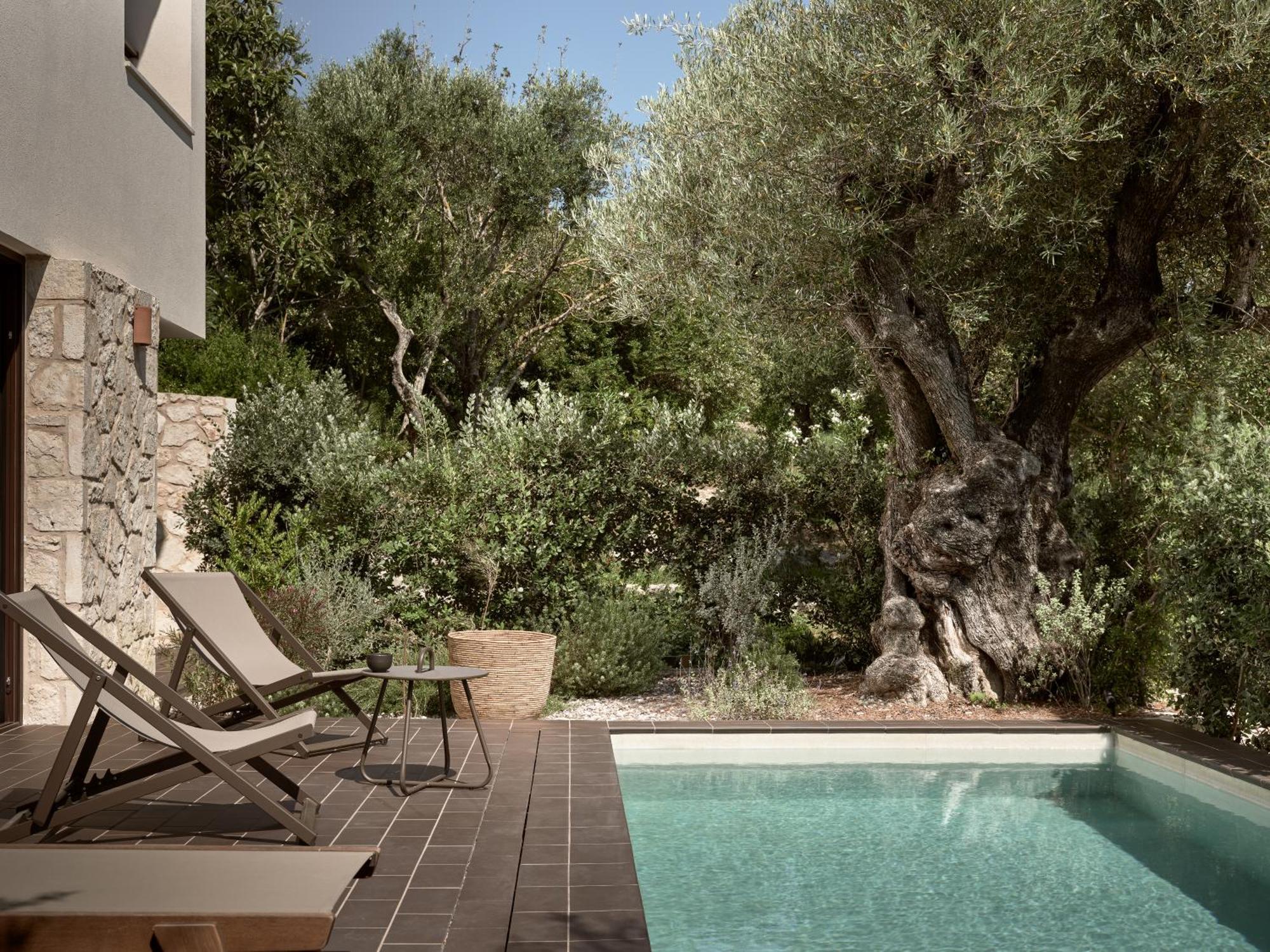 Zayn Luxury Villas, A Serene Escape, By Thinkvilla Tsilivi  Dış mekan fotoğraf
